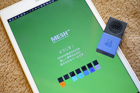 MESH-01.jpg